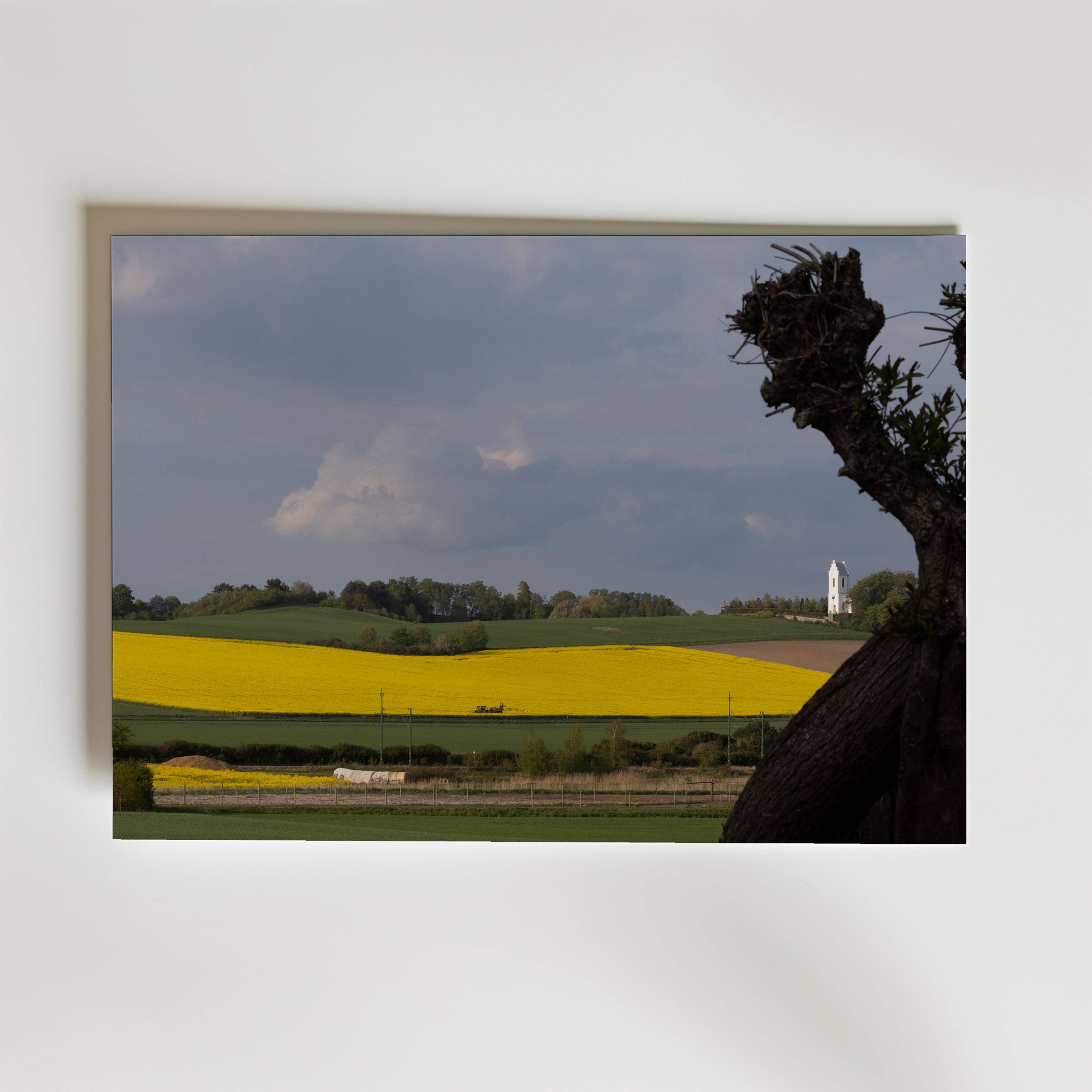 Sk�ne Covered in Yellow Poster - Fine Art Poster 70x100 cm