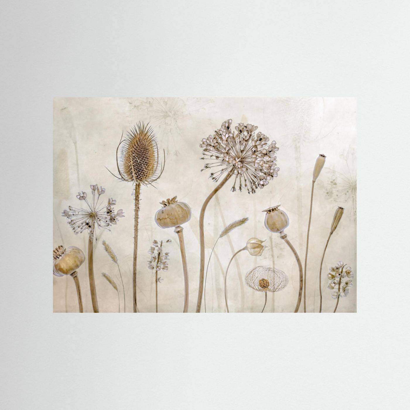 Growing old by Mandy Disher - 100 x 70 cm / Ingen ramme