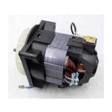 Dedra #23 ELECTRIC MOTOR 1200W FOR GARDEN ELECTRIC MOWER DEDRA DED8703