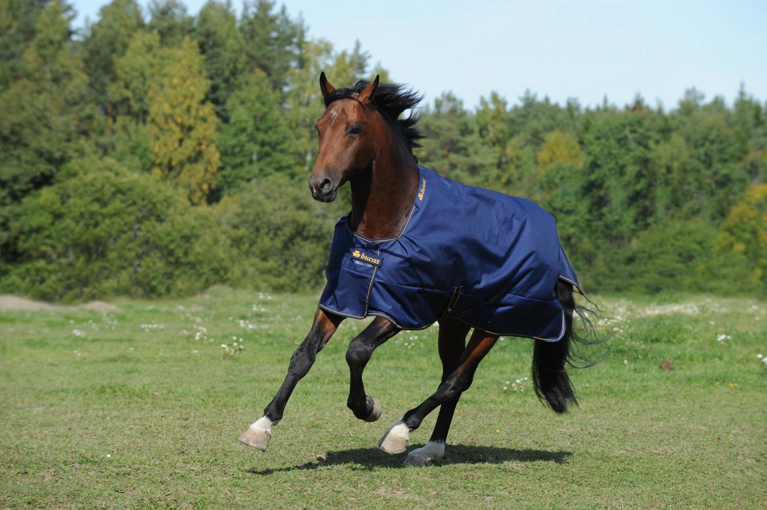 Bucas Irish Turnout Light 125 cm..