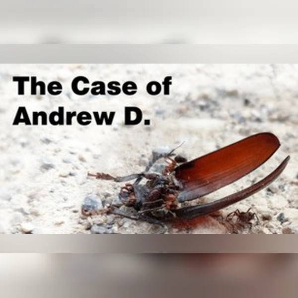 The Case of Andrew D. (PC) Steam Gift - GLOBAL.