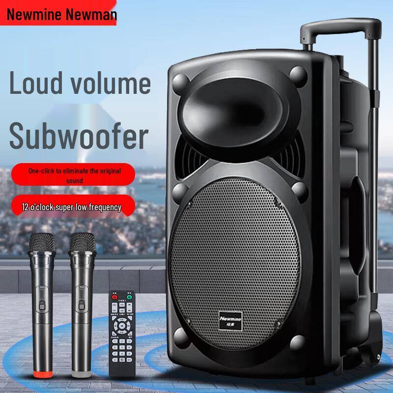 Newman B12 12-tums utomhus bärbar Bluetooth karaokemikrofon med dubbla mikrofoner CN-kontakt (adapter ingår)