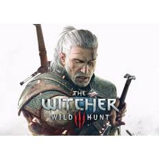 The Witcher 3: Wild Hunt (PC) Steam Gift - GLOBAL