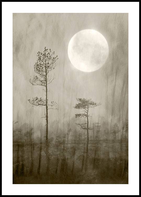Moonlight Moor Poster (21x30cm) - Plakater > Svart och Vit Posters, Illustrationsposters, Natur Posters, Pictufy