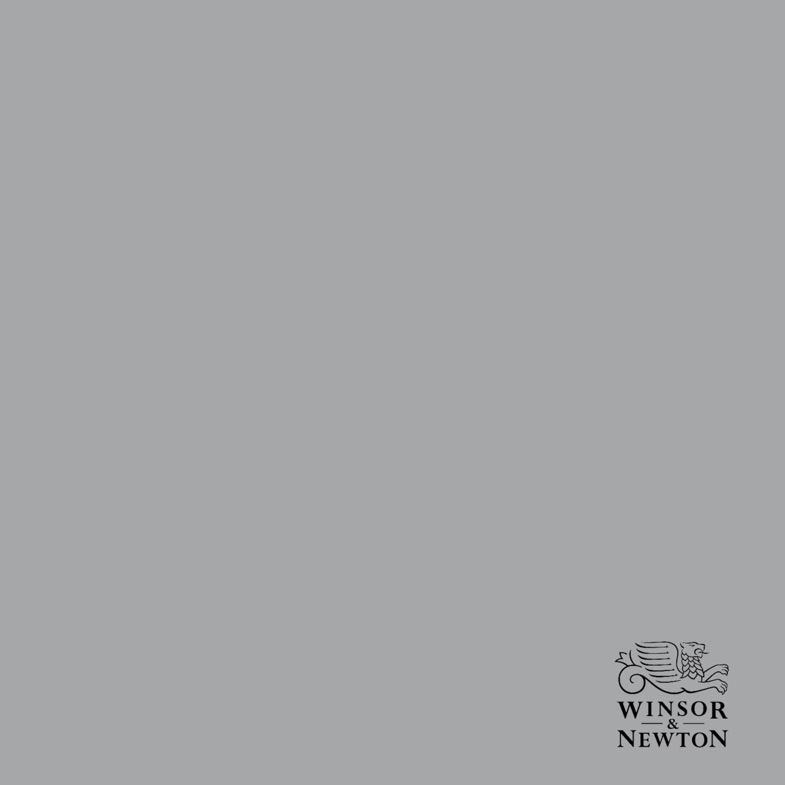 W&N SILVER 617, 60 ml