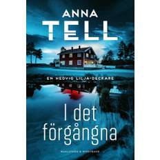 I det förgångna, E-bok