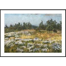 A Little Bit of Heather by František Kaván Poster (70x100cm) - Plakater > Konstaffischer, Vår Posters, Barnväggskonst, Klassiska Postere, Natur Poste