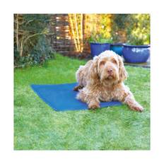 Rosewood Pet Cool Mat - Large