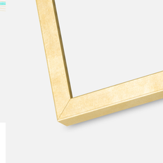 Ramme Ares Akrylglas Guld 20x20 cm