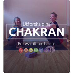Postural Chakra Yoga – Grundkurs 1