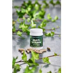 Multivitamin Vegansk 60 stk