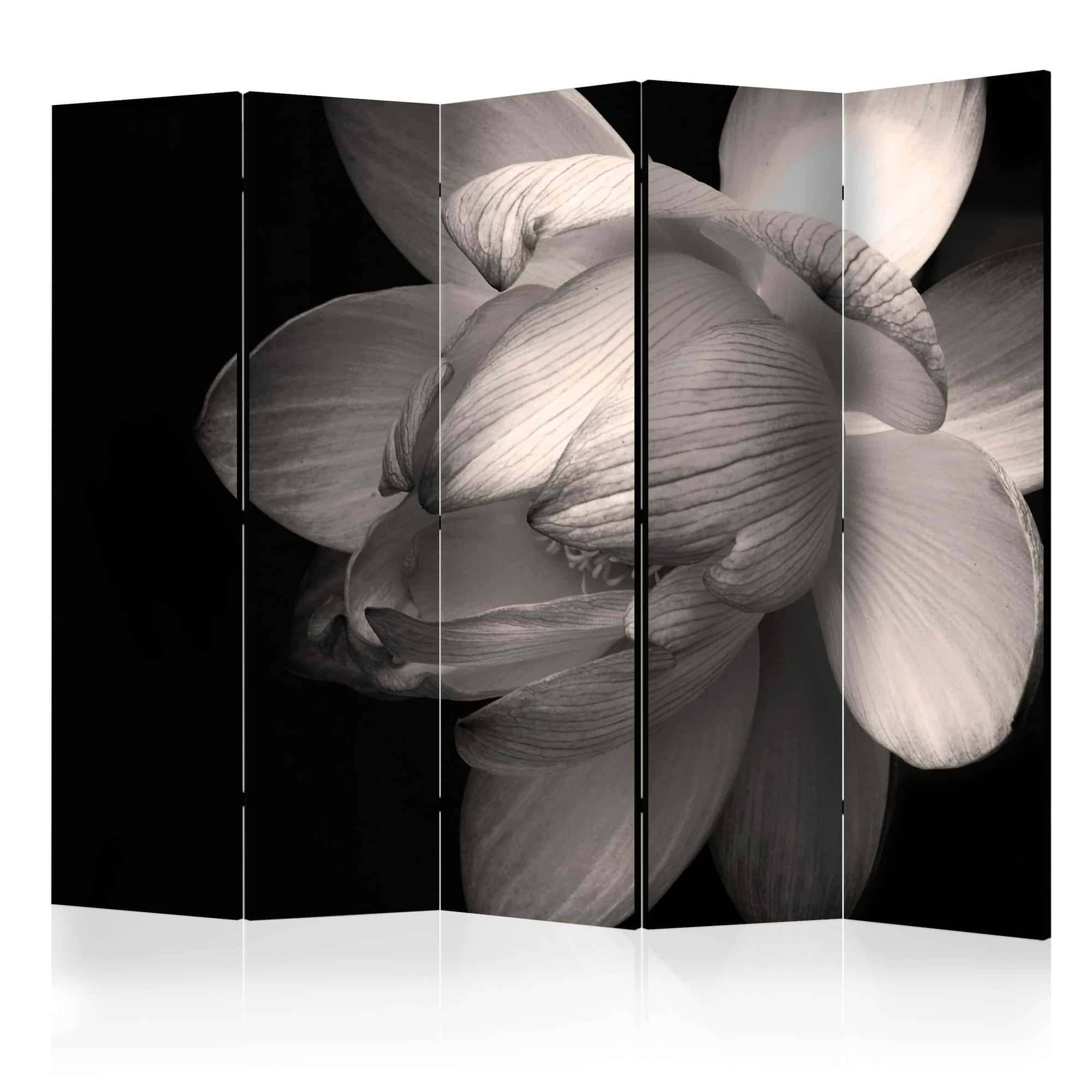Skærmvæg Lotus flower II
