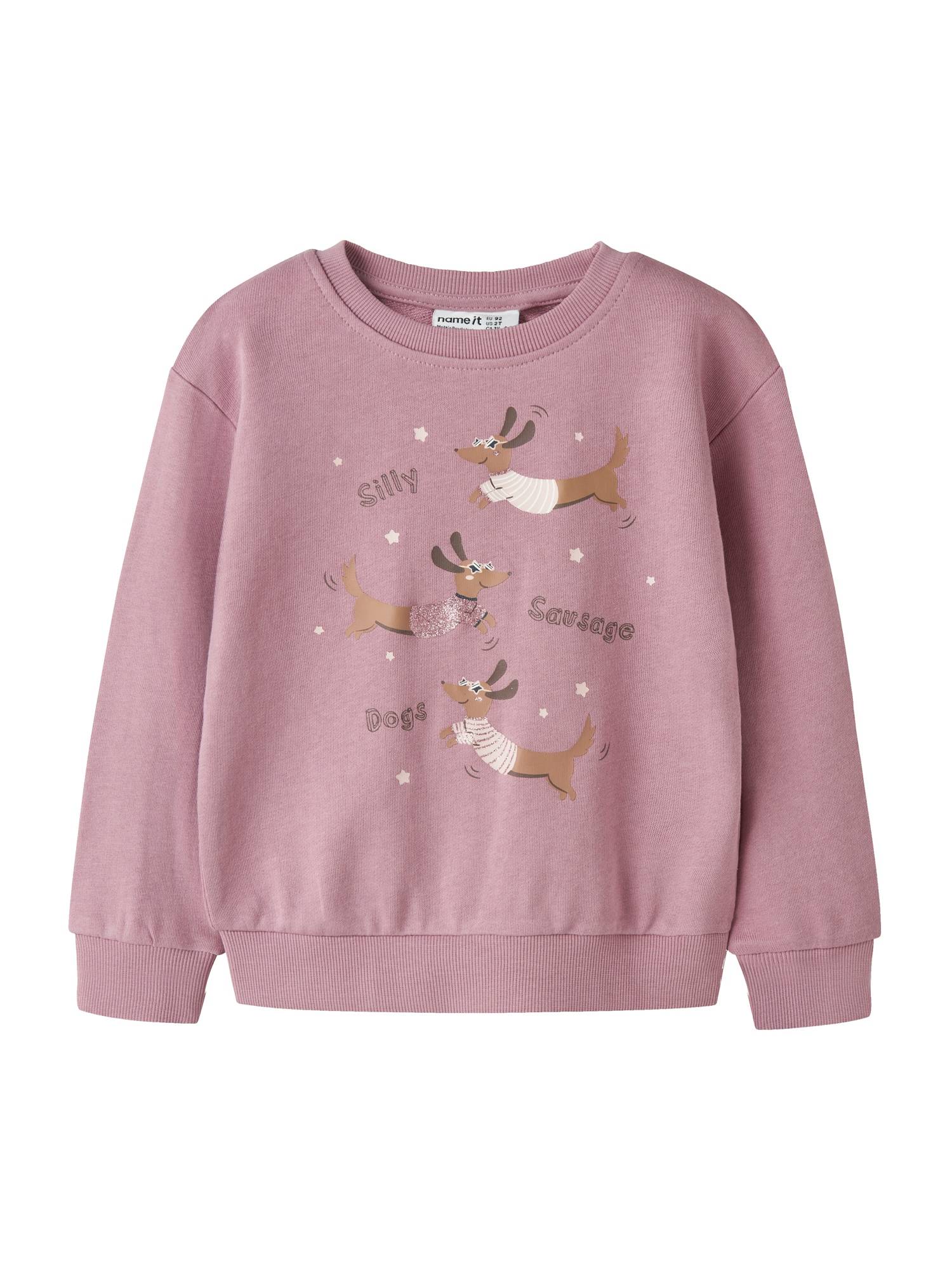 NAME IT Sweatshirt 'NMFVASACHA'  brokade / mørkebrun / lilla / lysviolet