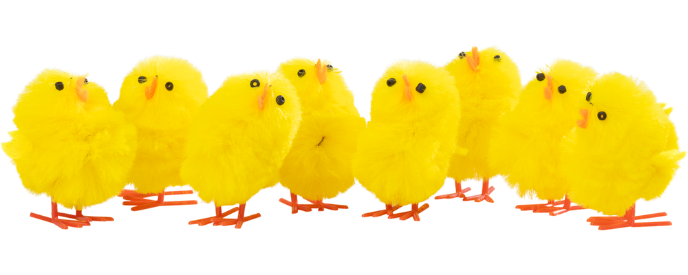 Påskkycklingar H. 4 cm 8-pack