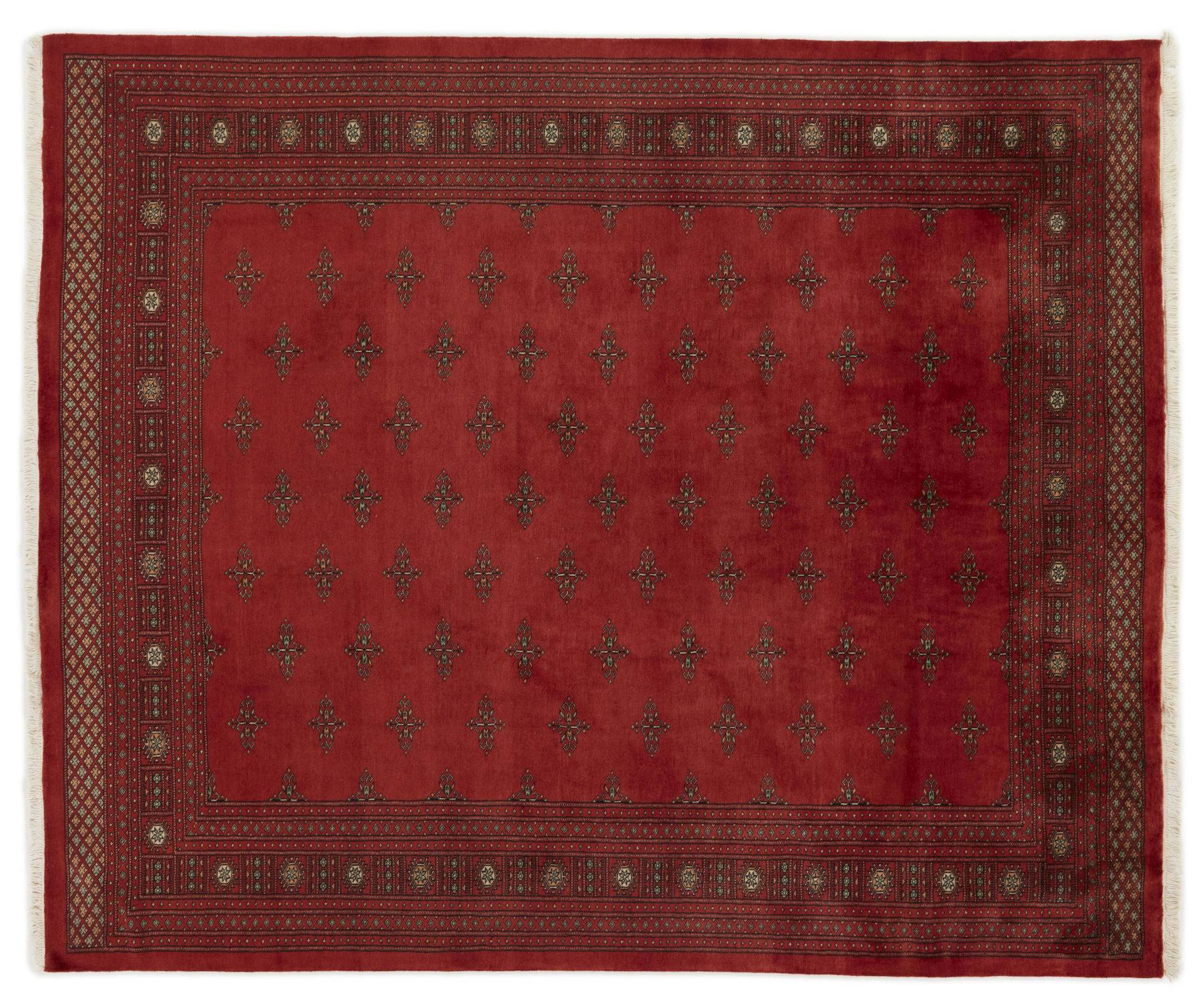 Pakistan 3 Ply