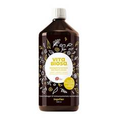 Vita Biosa Ingefær Ø - 1000 ml.