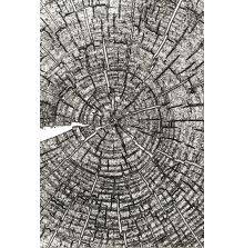 Tim Holtz Sizzix 3-D Texture Fades Embossing Folder - Tree Rings