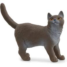Schleich Brittisk Korthår Katt Bondgårdsdjur 13973 figur legetøj dyrefigur spille