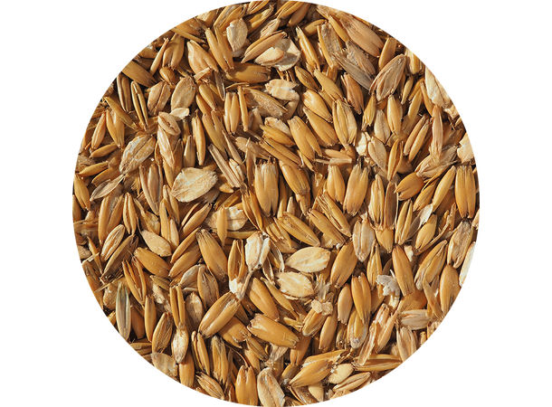 Flaked Torrefied Oats - 1 kg hel