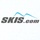 Skis Logotype