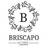 Briscapo Logotyp