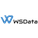 WSData Logotyp