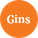 Gins.dk Logo