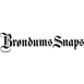 Brøndum Logo