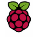 Raspberry Pi Logotype