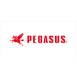 Pegasus Logotype