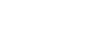 Levy's Leathers