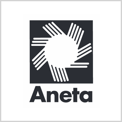 Aneta