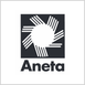 Aneta Logo