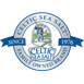 Celtic Sea Salt Logotyp
