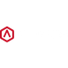 Raise3D Logo