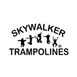 Skywalker Logotype