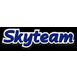 Skyteam Logotype