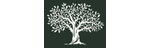 GreenOlive Logo
