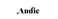 Andie Logotype
