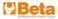 Beta Logotype
