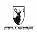 Artemis Logo