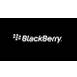 Blackberry Logotype