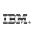 IBM Logotype