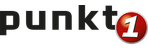 Punkt1 Logo