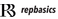 Repbasics Logo