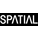 Spatial online Logotype