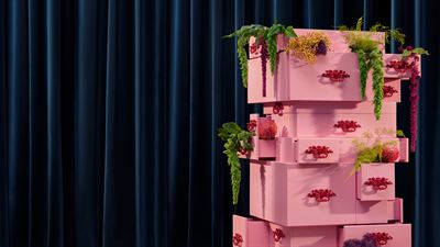 ProductImagery FlowersInDrawer SafeZone 16x9