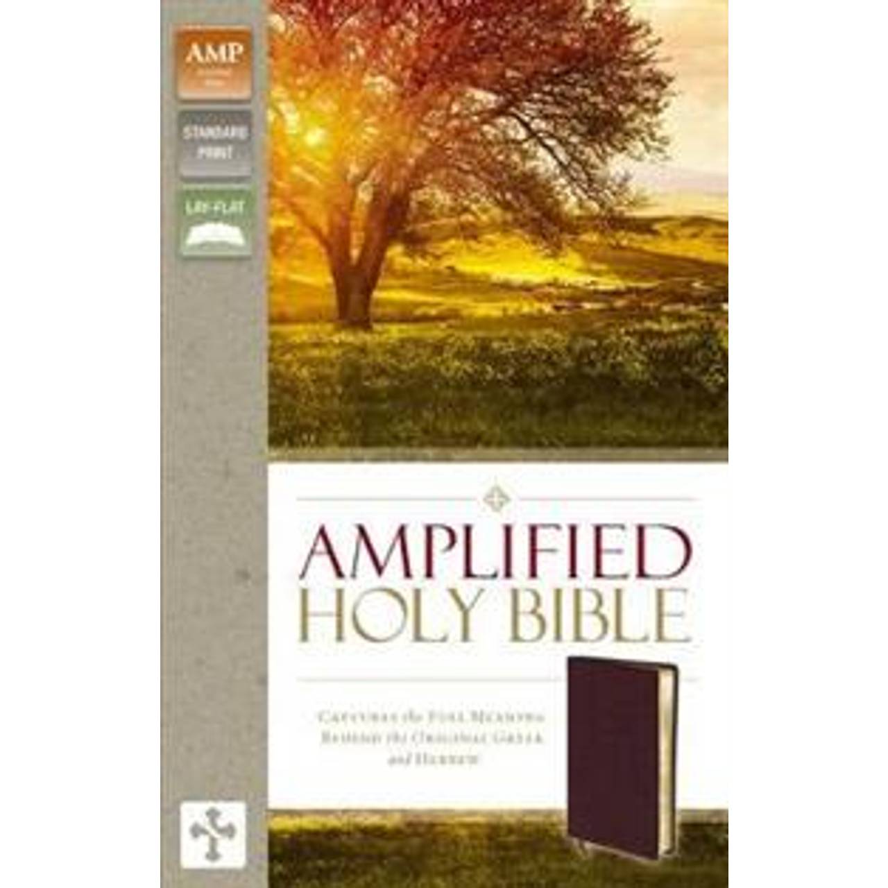 Amplified BibleAm Captures the Full Meaning Behind the Original Greek