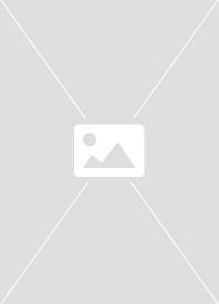 Heidegger Explained (Paperback, 2007)