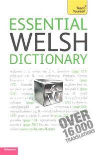 Teach Yourself Essential Welsh Dictionary (Paperback)